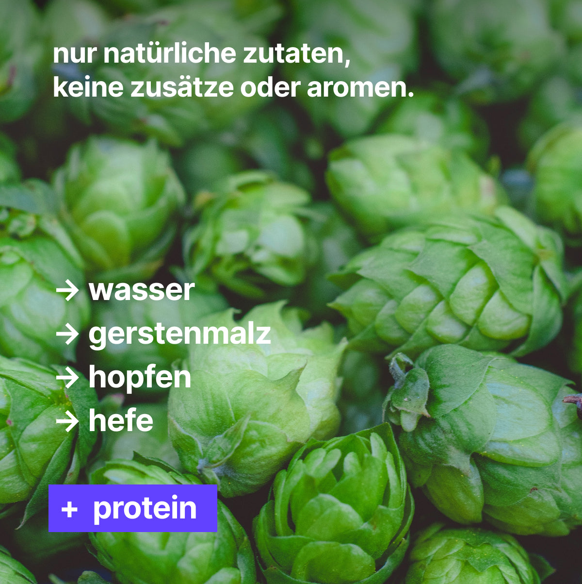 LAGER - protein beer.
